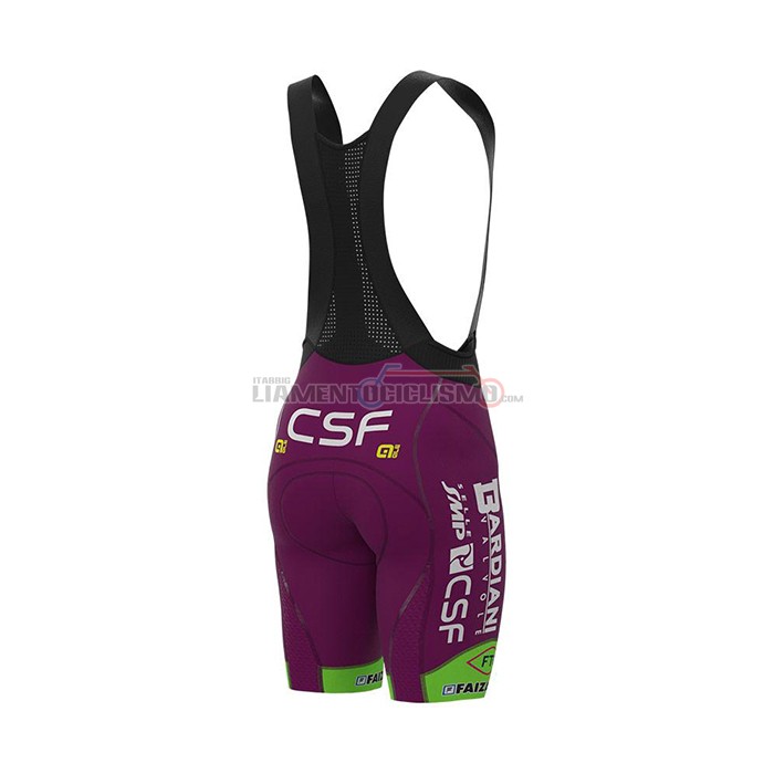 Abbigliamento Ciclismo Bardiani Csf Manica Corta 2022 Viola Verde